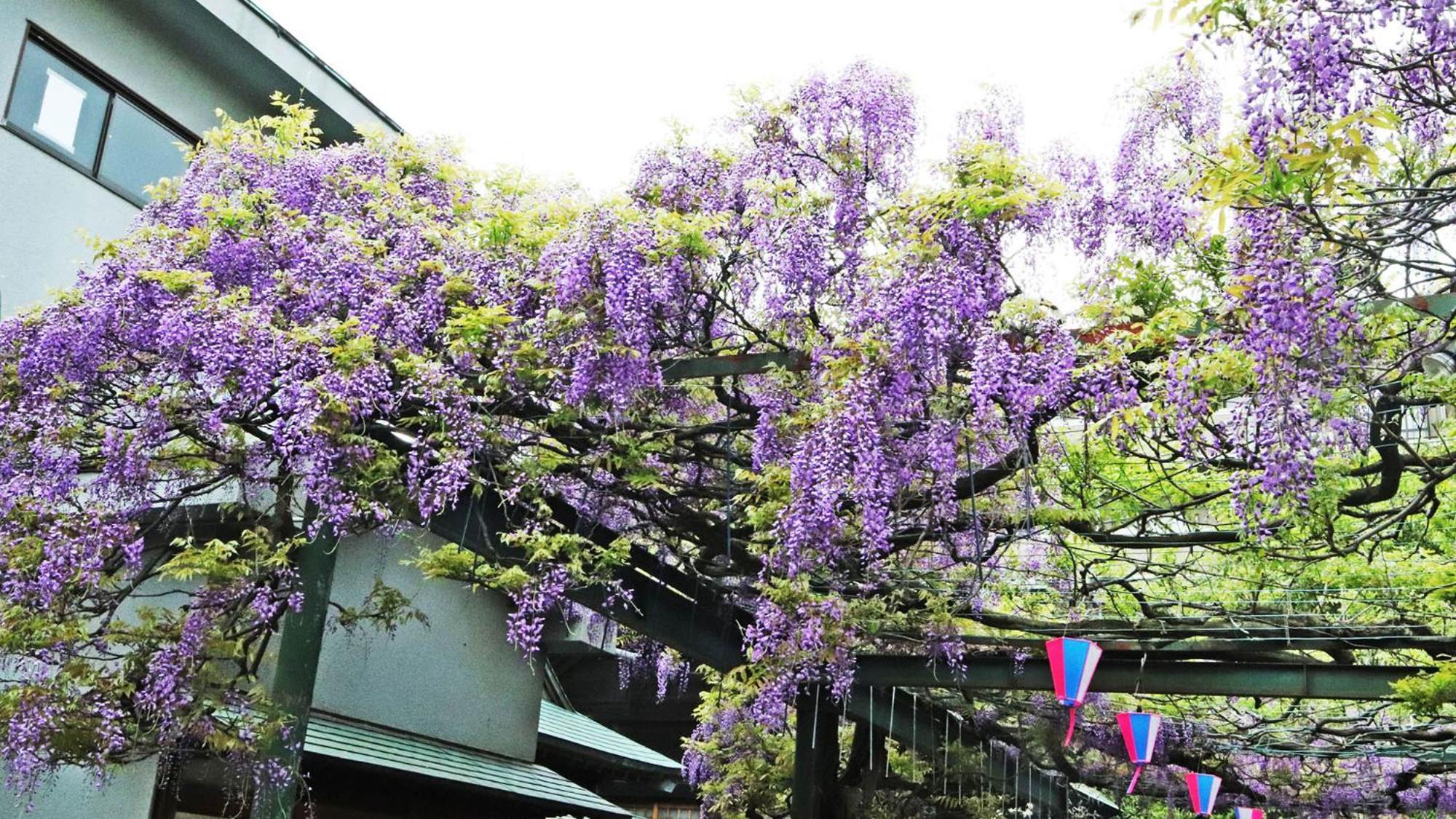 Toyoko Inn Chofu Keio Sen Fuda Eki Exterior photo